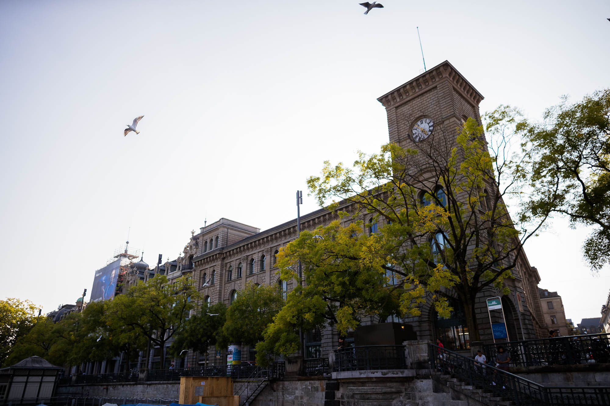 Export x3 1DX25041 Hochzeit 2020 Chantale & Jürg